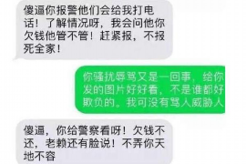 屯昌屯昌的要账公司在催收过程中的策略和技巧有哪些？